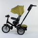 Велосипед триколісний Best Trike 9288 В - 3679 9288 В - 3679 фото 4